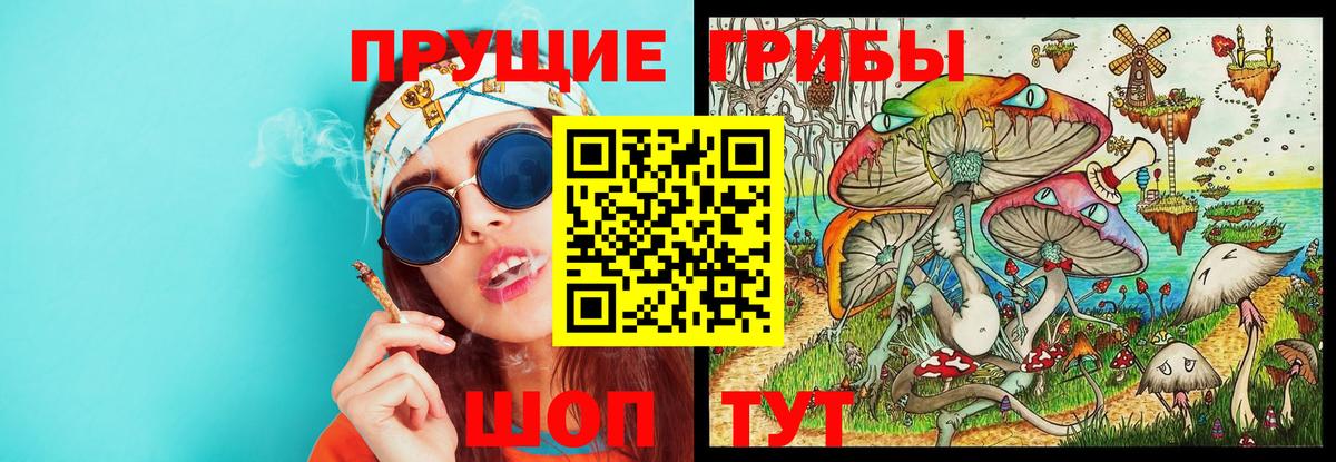 Ивантеевка  купить наркотики сайты  Вход с VPN  Псилоцибиновые грибы мухоморы 