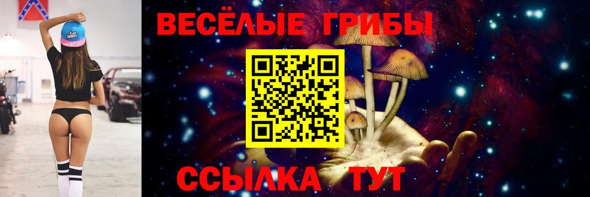 Галлюциногенные грибы Cubensis Ивантеевка